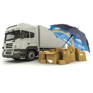 us export cold chain to singapore