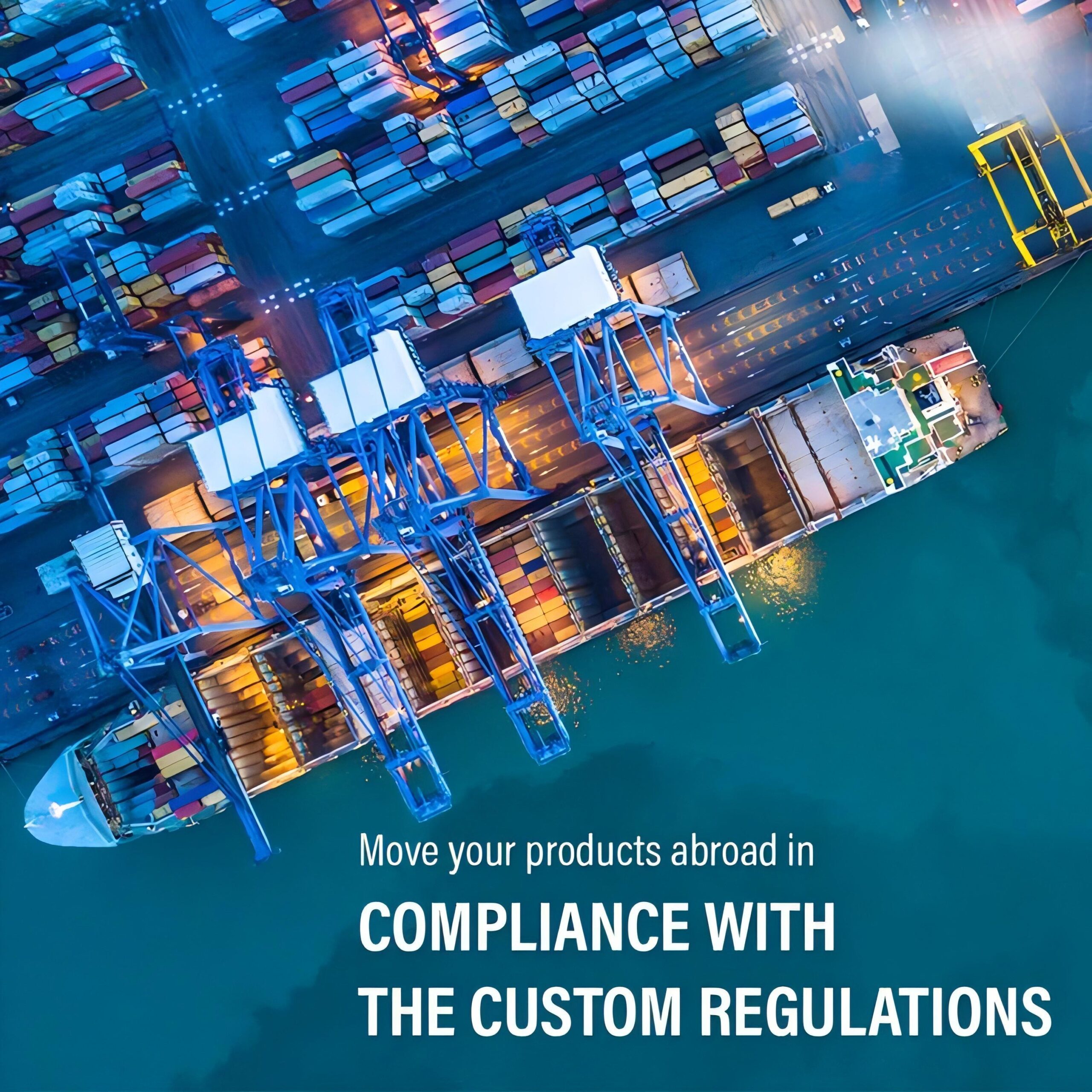 Logistics professional overseeing sensitive cargo operations